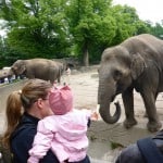 Im Tierpark Hagenbeck