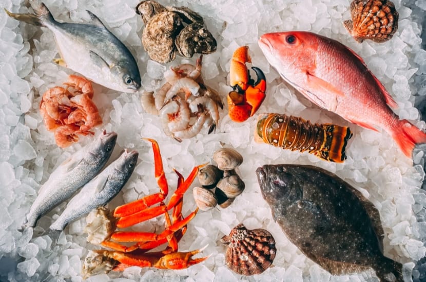 Natürliches Jod im Essen: Frischer Fisch und Meeresfrüchte in der Schwangerschaft