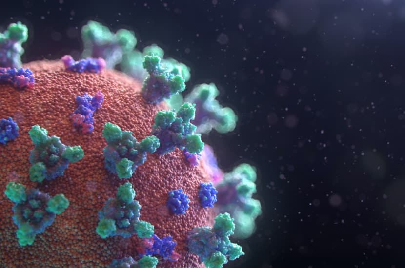 Visualisierung des Coronavirus, das COVID-19 verursacht