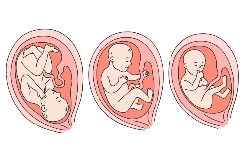 Die Entwicklung des Babys im dritten Trimester der Schwangerschaft