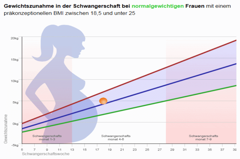 gewichtszunahme schwangerschaft