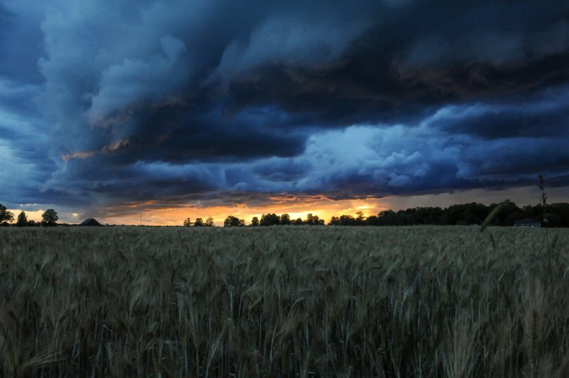 Unwetter über Feld