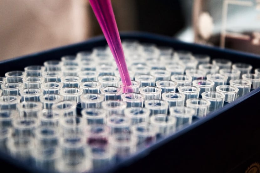 Laborumgebung mit Pipette, die Flüssigkeit in Teströhrchen gibt
